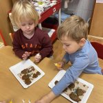 phoca_thumb_m_pernky  4 Fotogalerie